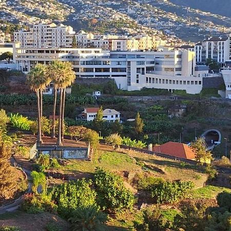 פונשל Magnolia Apartment Luxury Apt Great Views מראה חיצוני תמונה